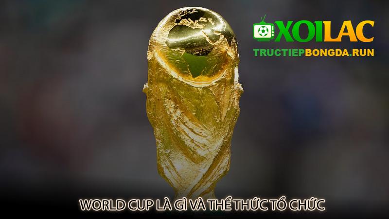 World Cup là gì và thể thức tổ chức